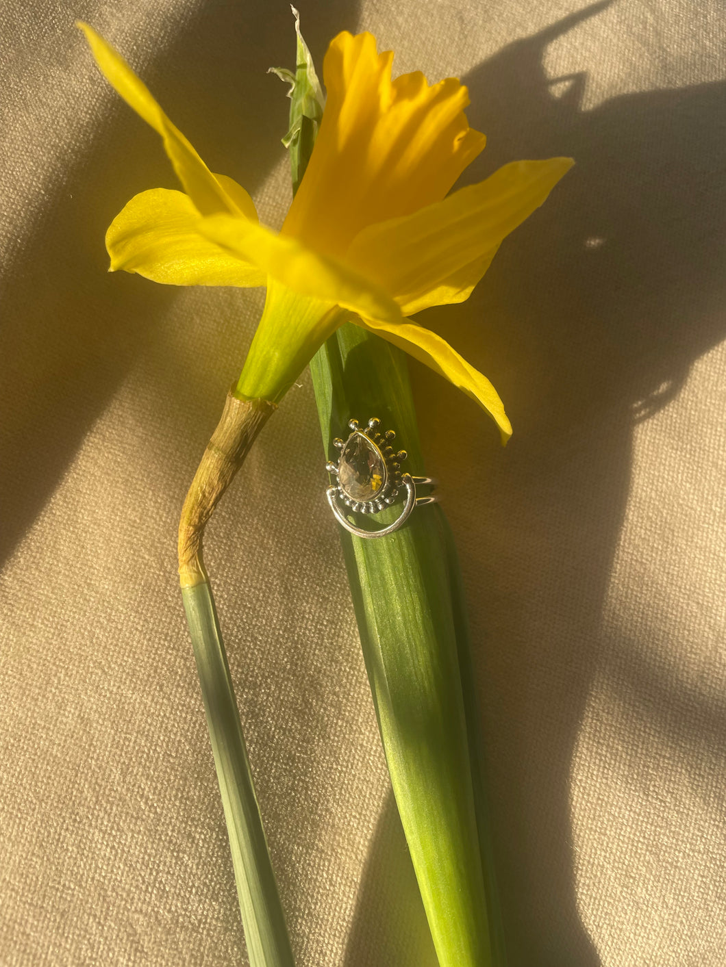 NEW The Sunshine Citrine Ring