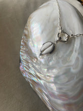 Load image into Gallery viewer, The Cowrie Clip (length 18inch) Paperclip Necklace.
