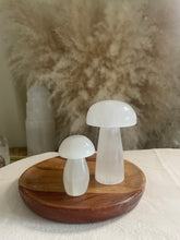 Load image into Gallery viewer, Selenite Mushrooms
