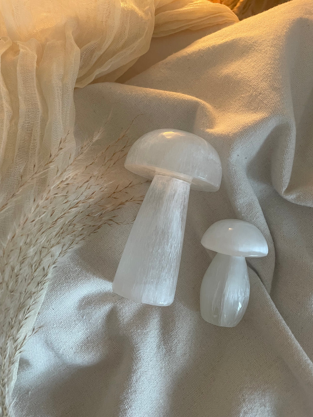 Selenite Mushrooms